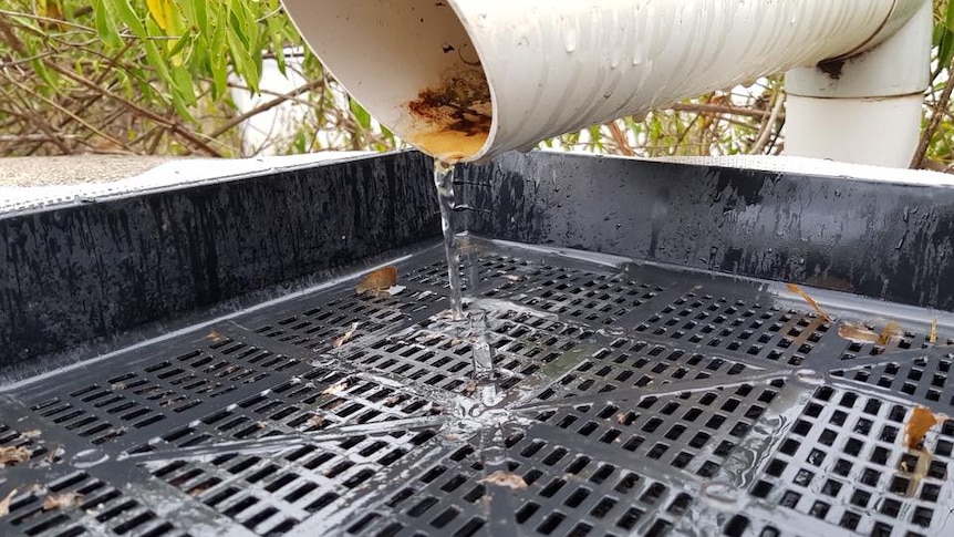 Rain water from a pipe pouring into a water tank