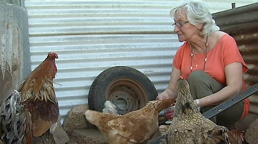 Stana Camelin and one of her crowing roosters that have caused a dispute with neighbours and the Alice Springs Town Council.