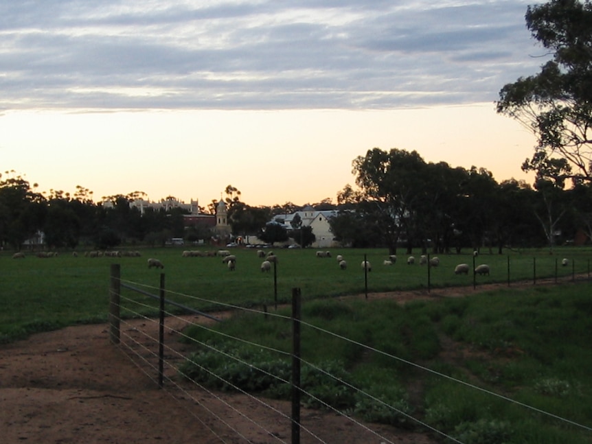 The monastery, late evening New Norcia