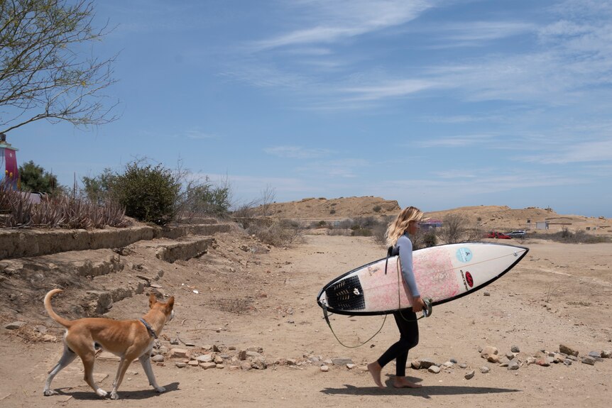 A woman carries a surfboard under her arm and is walking, a dog follows her.