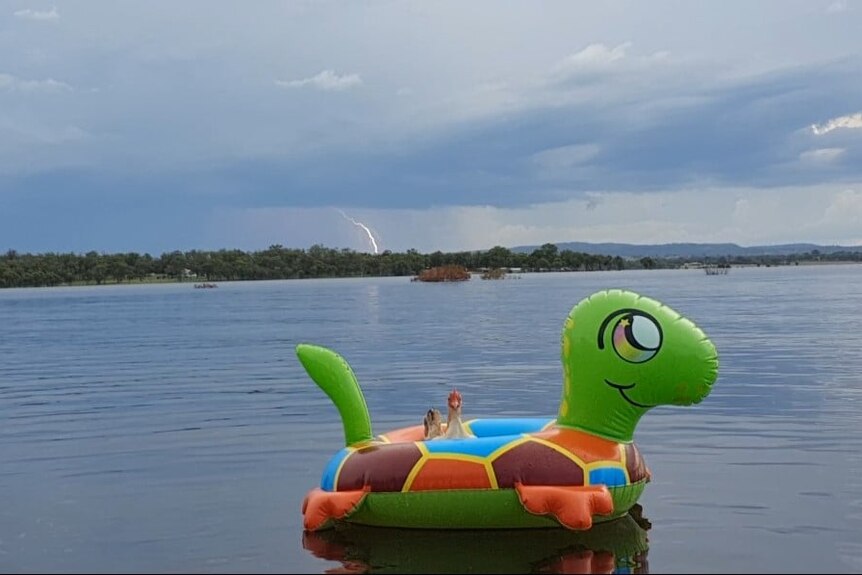 A chicken on a dam in a floaty toy. 