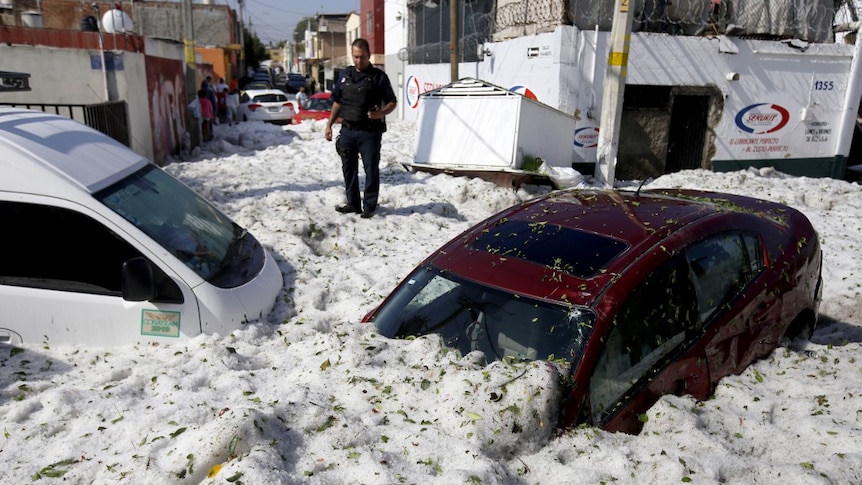 Two cars are submerged up to their windshields with white hail. A policeman surveys the damage.