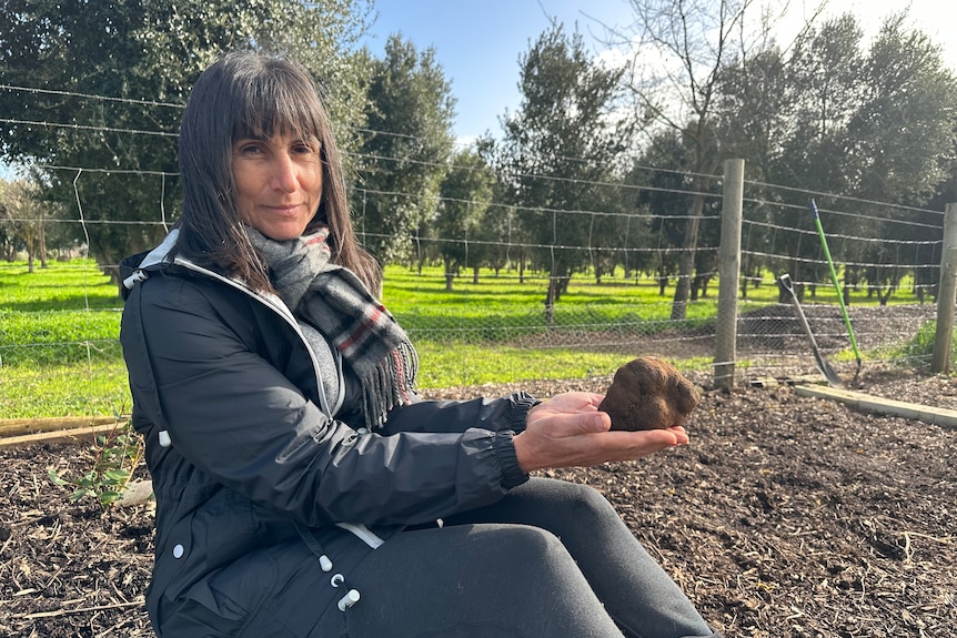 A women sits in front of a orchard holding a large black truffle. 