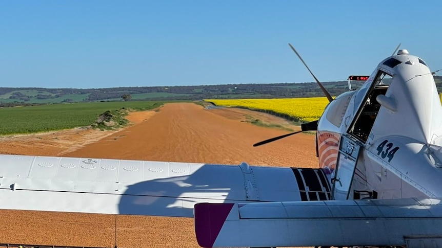 View from behind a fixed-wing crop duster that is standing on a red dirt runway 