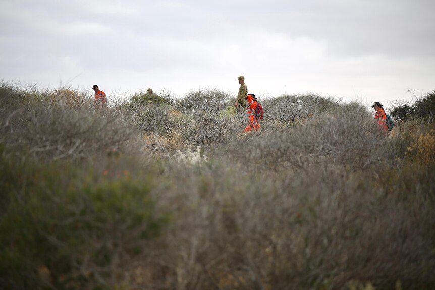 SES and army searchers at Blowholes campsite search thick scrub
