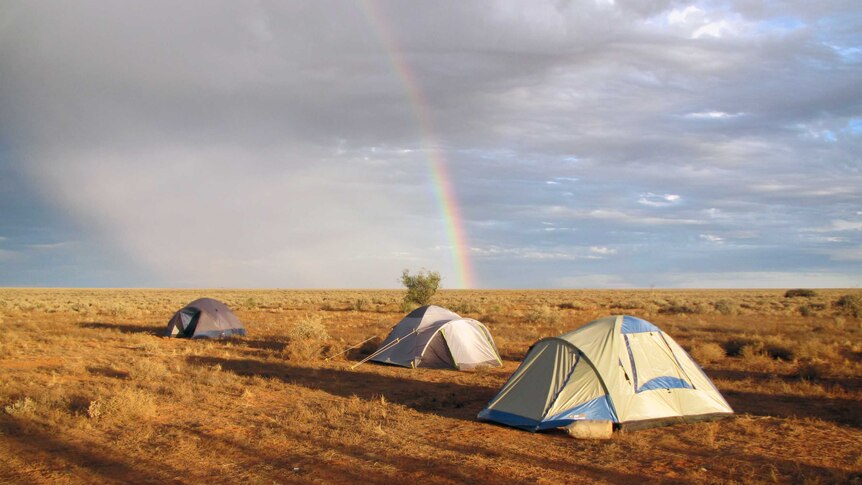 Meteorite hunt in the Nullarbor