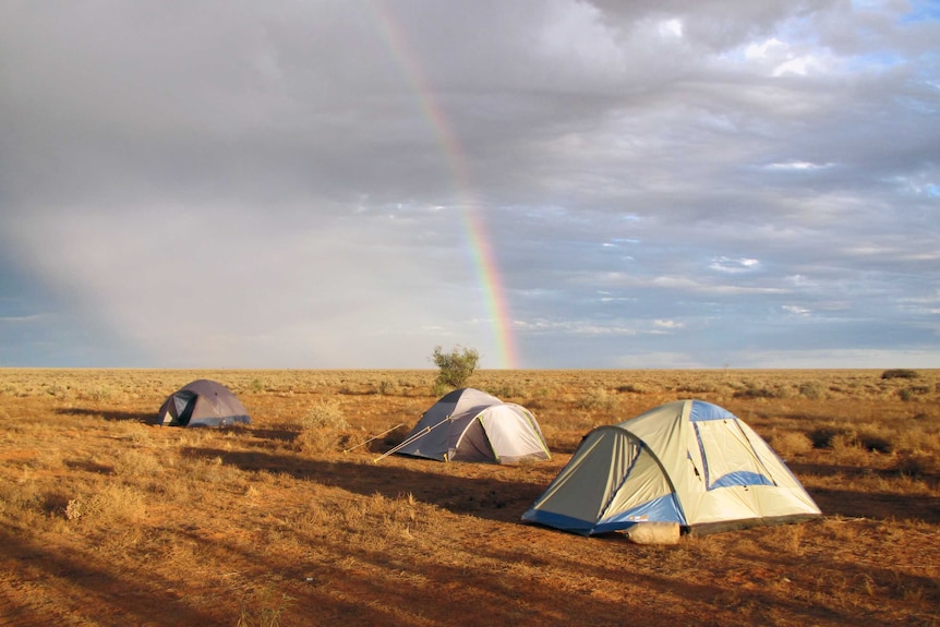 Meteorite hunt in the Nullarbor