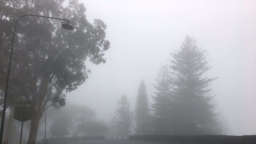 A heavy mist blanketed Toowoomba this morning.