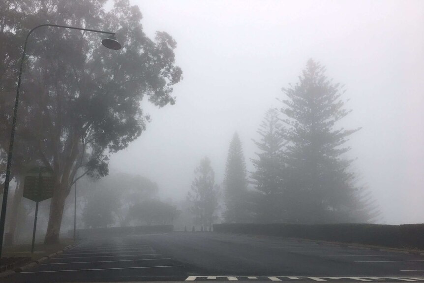 A heavy mist blanketed Toowoomba this morning.