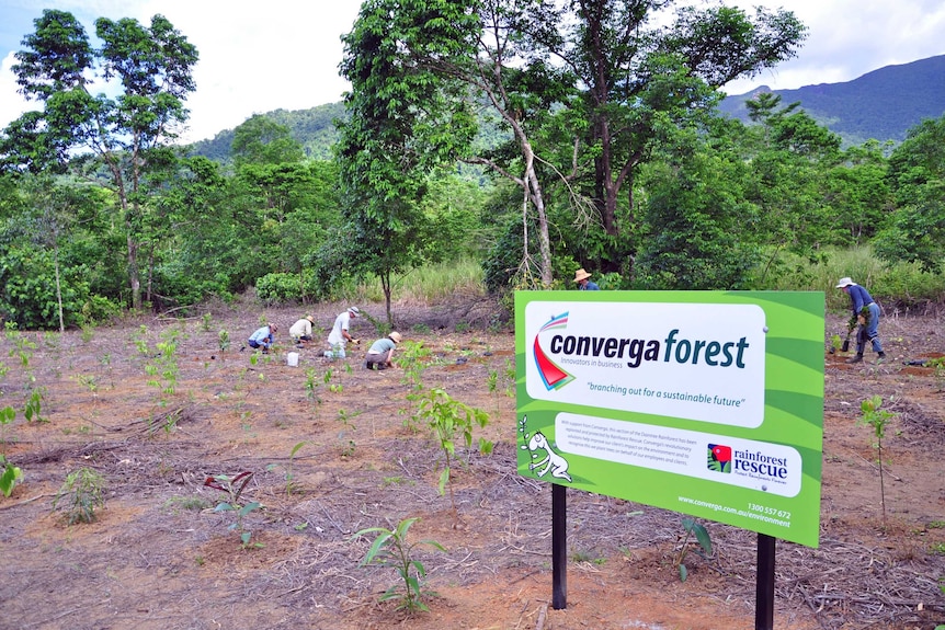 Large sign reading 'Converga Forest' with people kneeling on the ground among small seedlings in the background