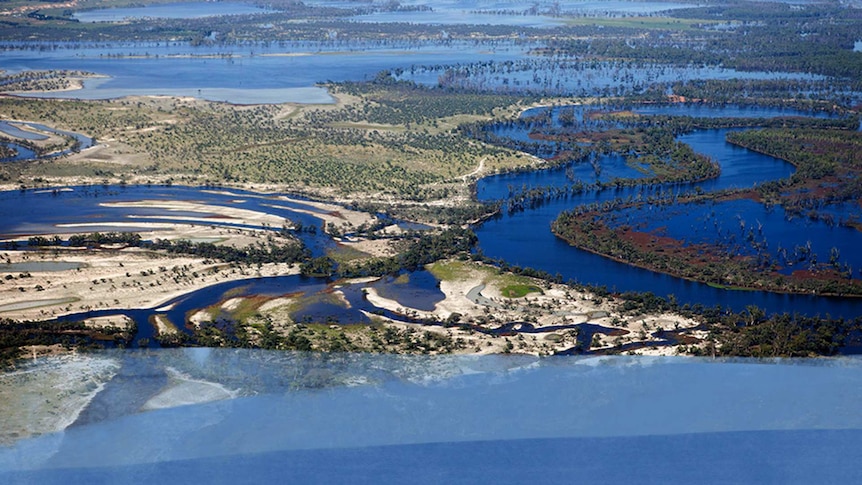 An aerial view of the wetlands.
