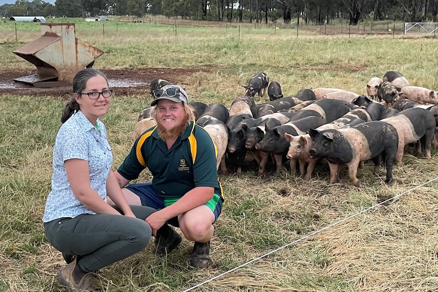 two farmers in outdoor pen with piglets in background