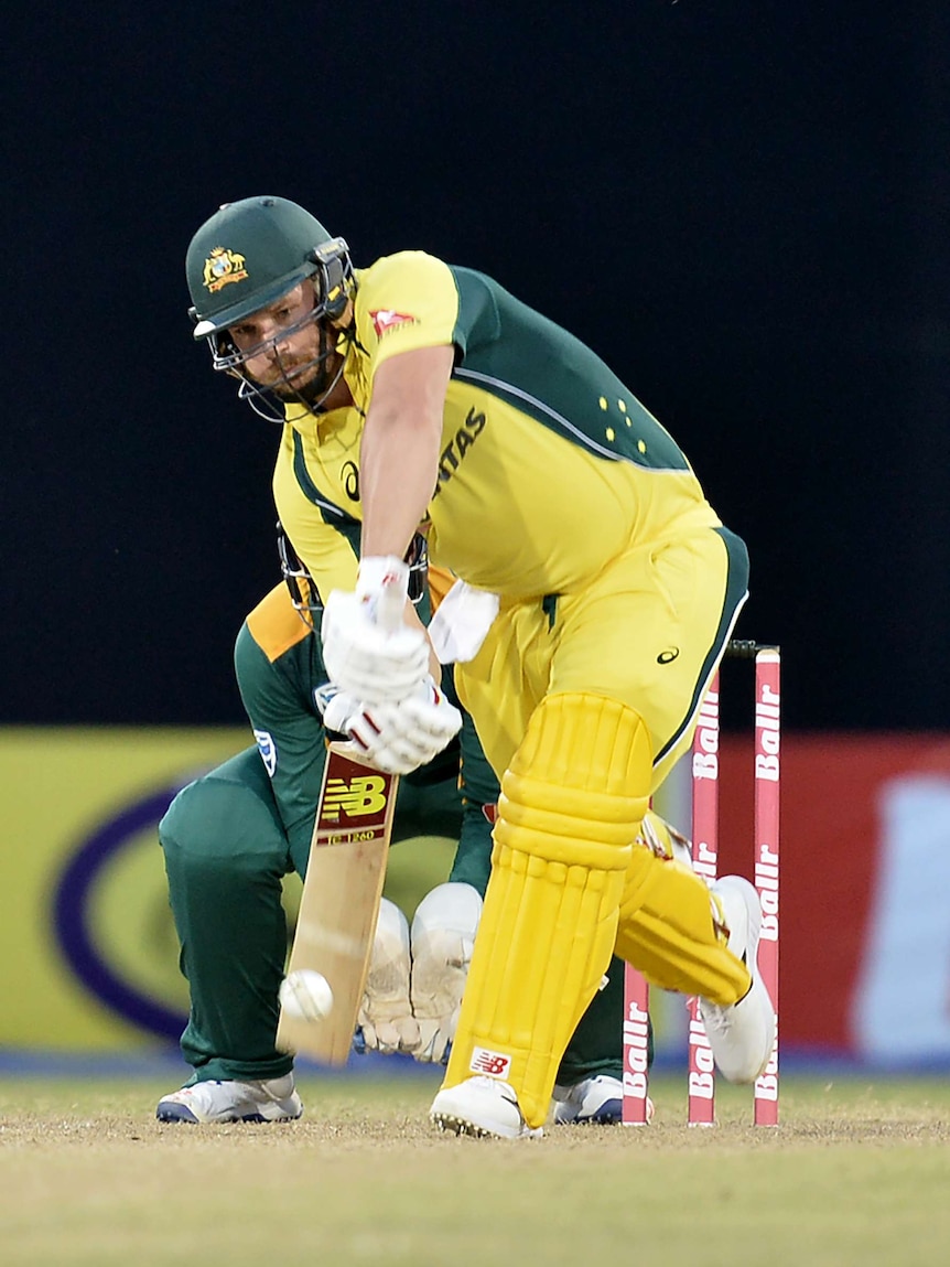 Aaron Finch drives against South Africa