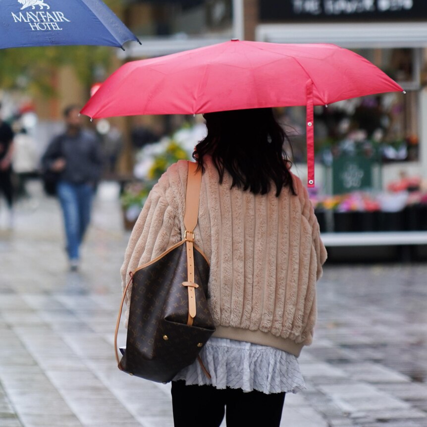 Two people carrying umbrellas walk through a mall with wet pavers