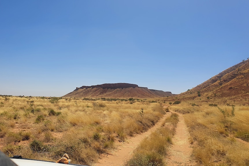 A dirt track runs along the ground with dry grass growing on either side. 