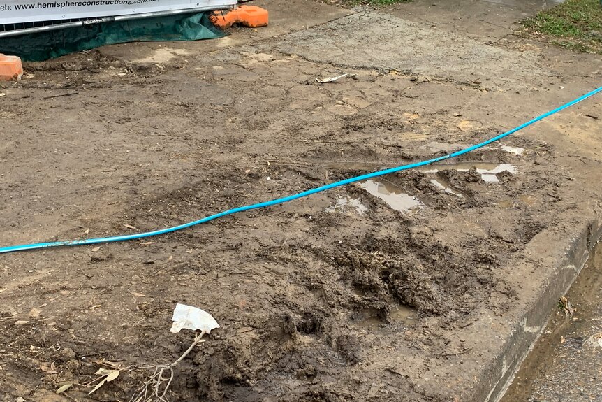 an exposed electrical cable running along on the ground outdoors