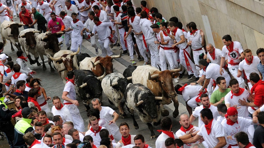 San Fermin running of the bulls 2014