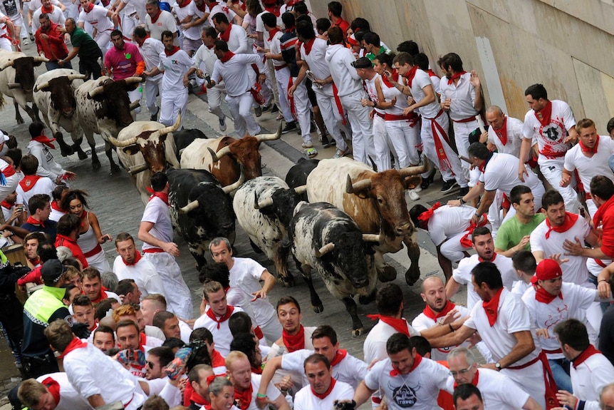 San Fermin running of the bulls 2014