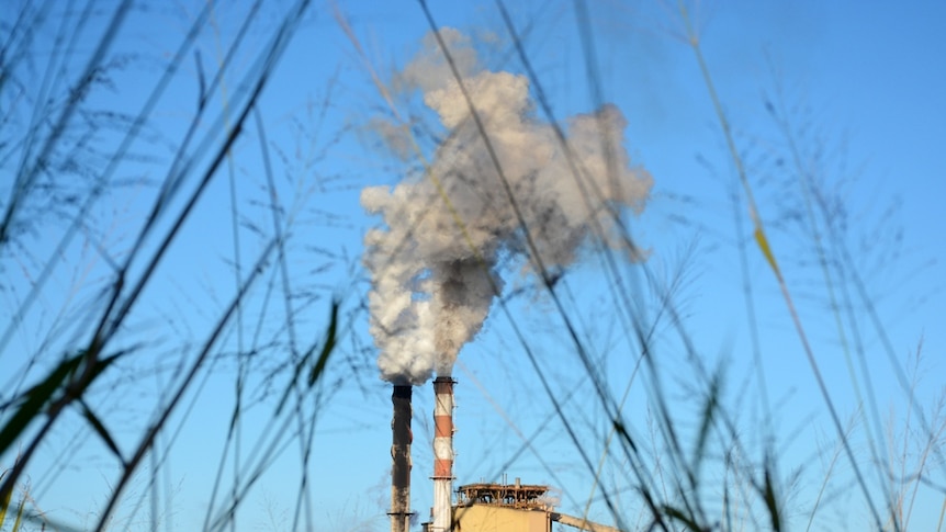 Racecourse sugar mill through grass