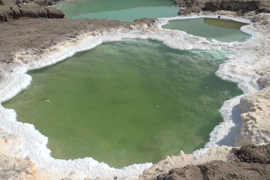 Foam forms around a hole full of green water.