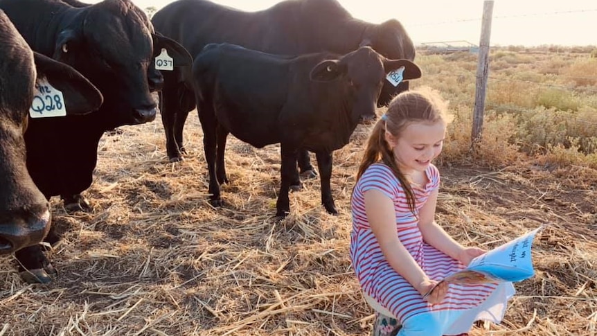 Willa, 5, sitting on a bucket reading When we wake to feed the cows, smiling, cattle standing around.