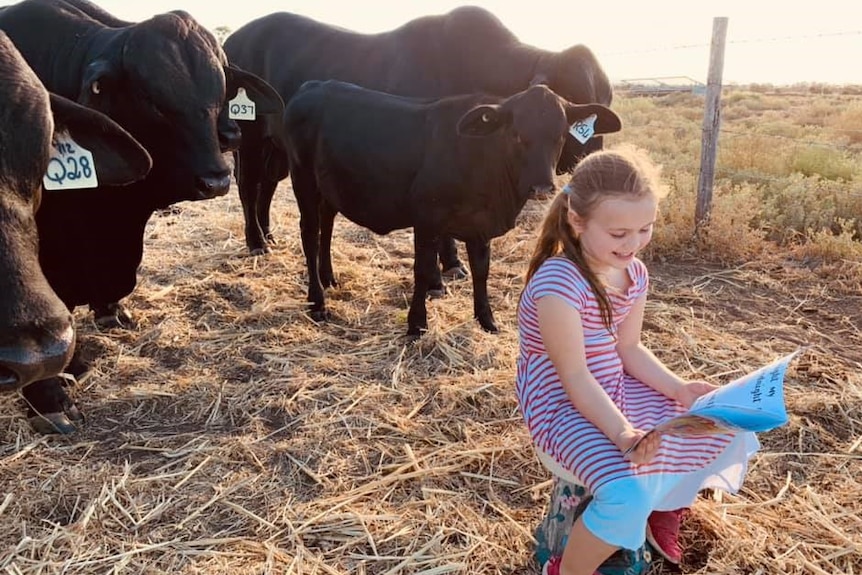 Willa, 5, sitting on a bucket reading When we wake to feed the cows, smiling, cattle standing around.