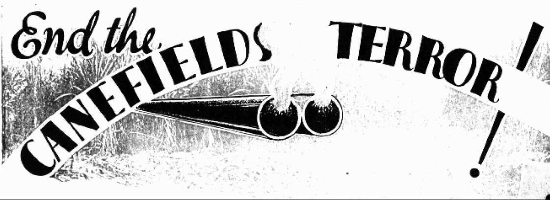 A headline saying 'end the canefields terror' with a shotgun underneath and sugar cane in the background