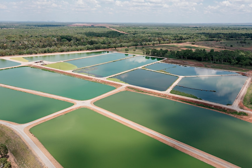 An aerial view of wastewater ponds in Katherine.