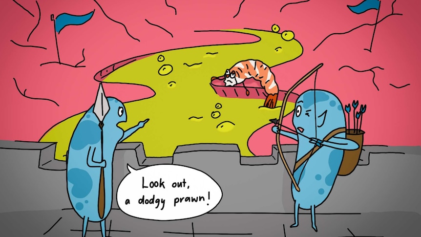 A gut bacteria says "Look out, a dodgy prawn" as a gross prawn slides by
