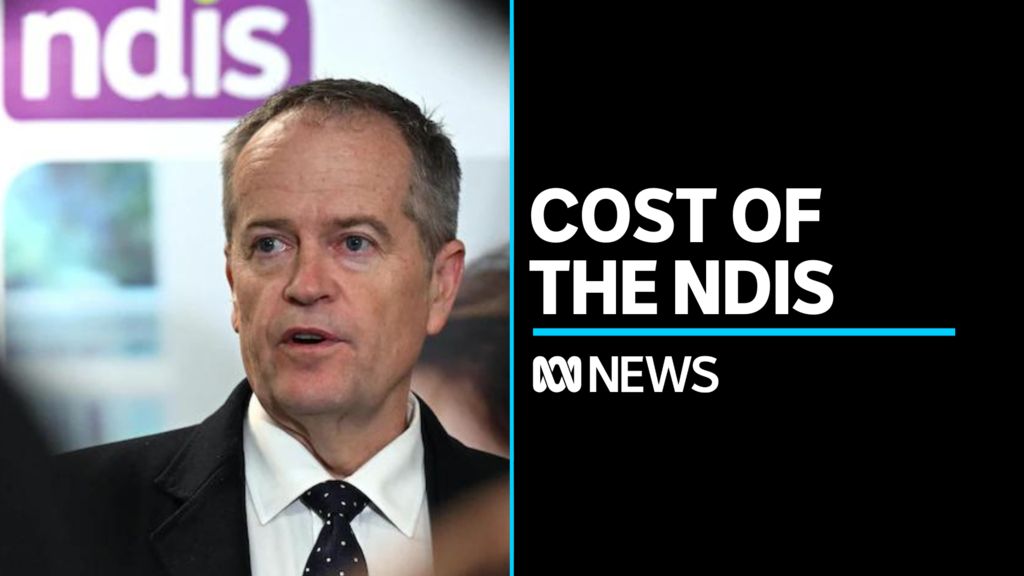 The NDIS is now the government's second fastest-growing payment - ABC News