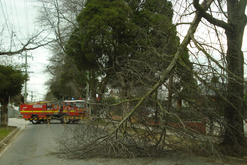 Fire crews block a road in Mitcham, in Melbourne's eastern suburbs, as strong winds sweep across the state.