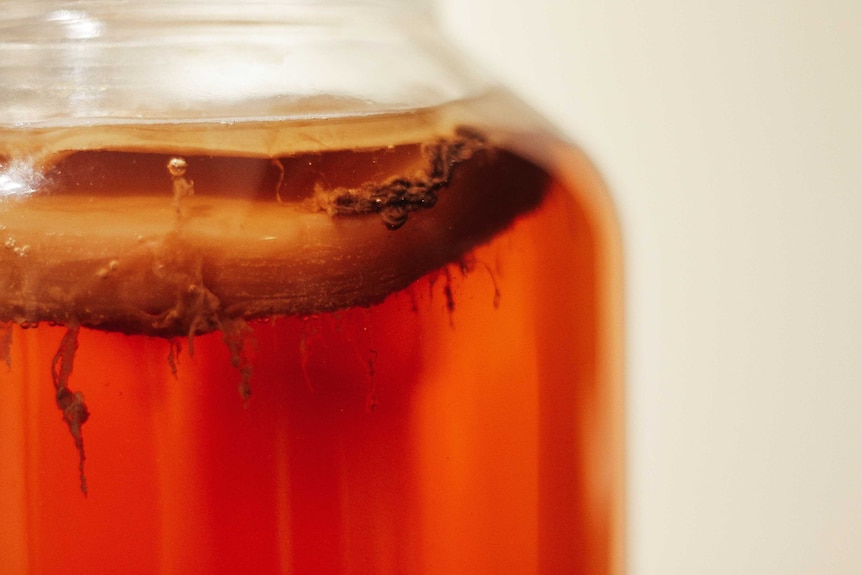 Kombucha brews in a bottle, with a visible SCOBY, for a story about kombucha's purported health benefits.