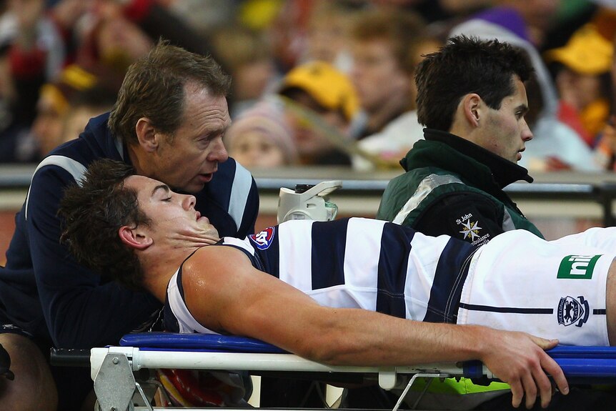 Menzel leaves on a stretcher