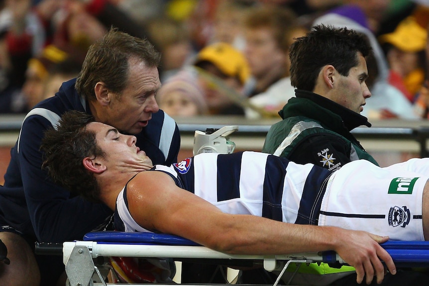 Menzel leaves on a stretcher