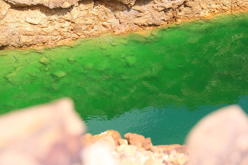 Brilliant green water stained from heavy metals seeps into Hanrahan's creek from the disused Redbank Mine.