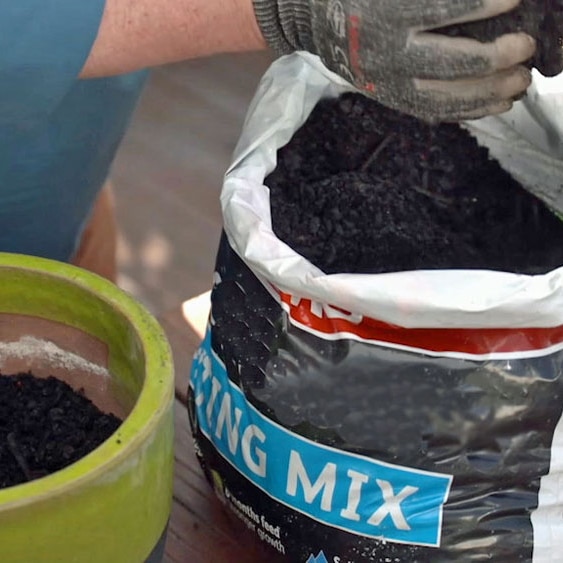 Hands scooping potting mix out of a bag.
