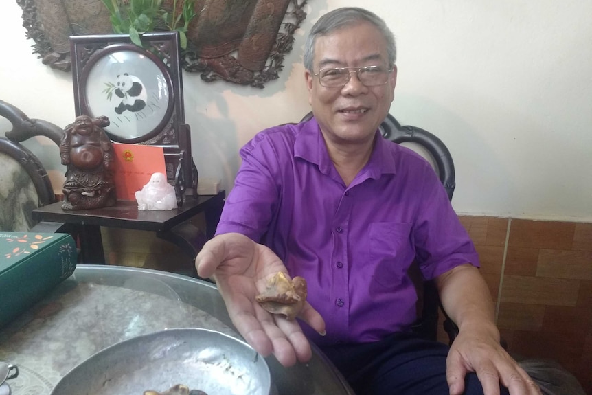 Pangolin scales as used in traditional medicine with Mr Hoi in Hanoi