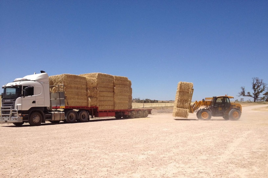 International hay market strong, but demand low for wheaten hay