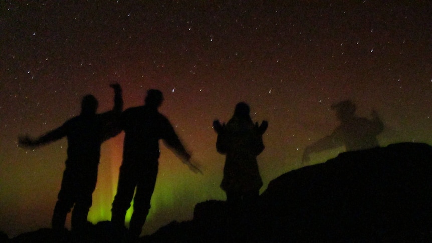 Southern lights: nature provides a spectacle on Macquarie Island
