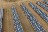 Solar panels on Matthew Reid's Renmark property