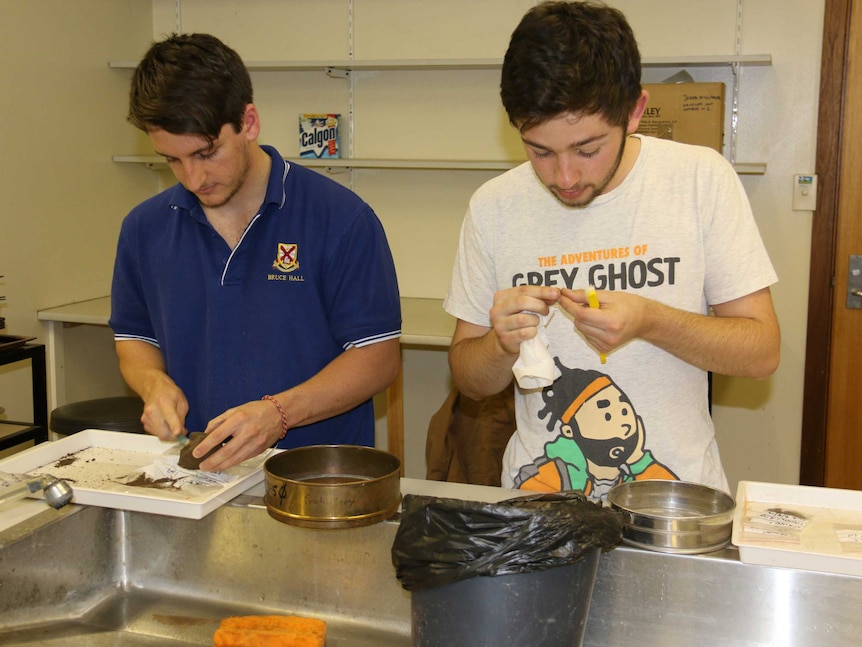 Students, including Simon Williams (right), used toothbrushes to clean away dirt from the artefacts.