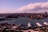 A large smoke plume rises above the sky above a city