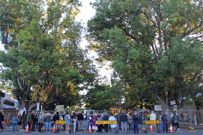 People line the barricade on the morning of the trees removal