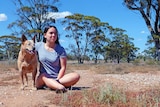 A young woman is sitting on the ground with her arm over a cattle dog. They're in grassy outback with a few gumtrees.
