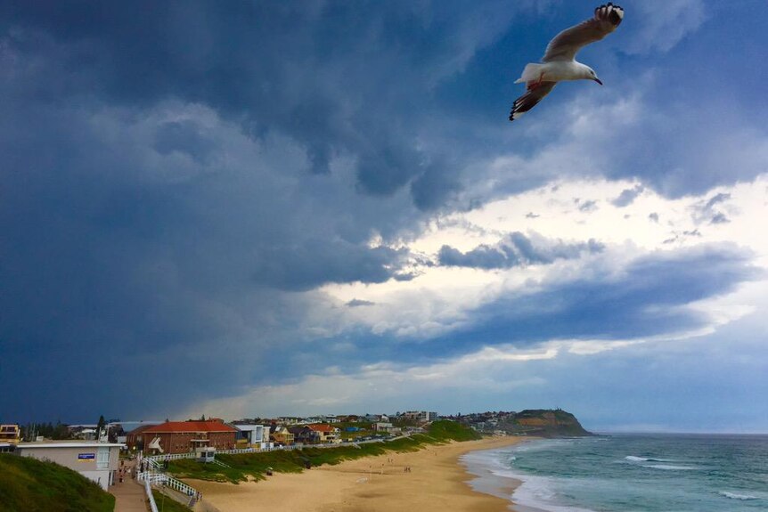 Storm clouds at Merewether Beach