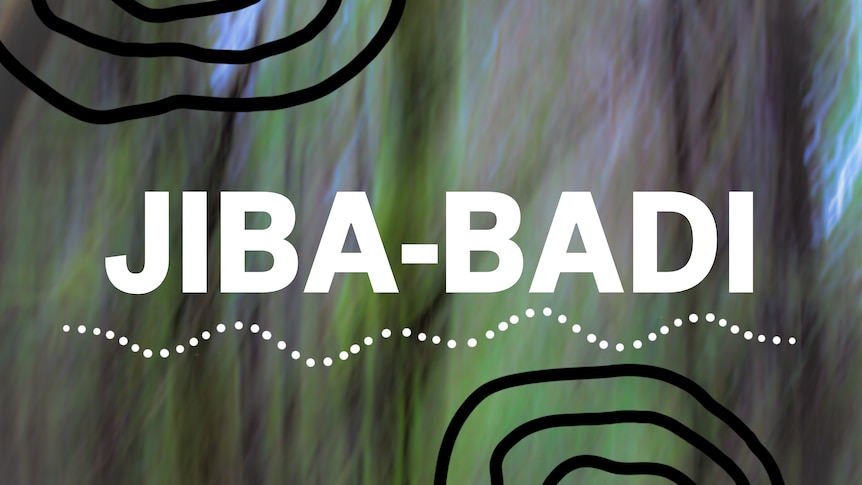 Green/Grey/Purple background with white block text that reads JIBA-BADI
