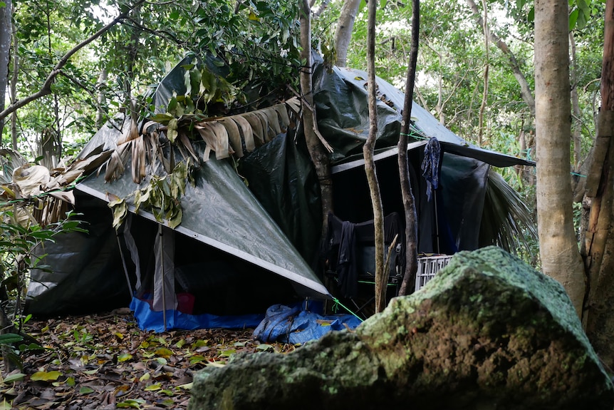 A tent in a forest