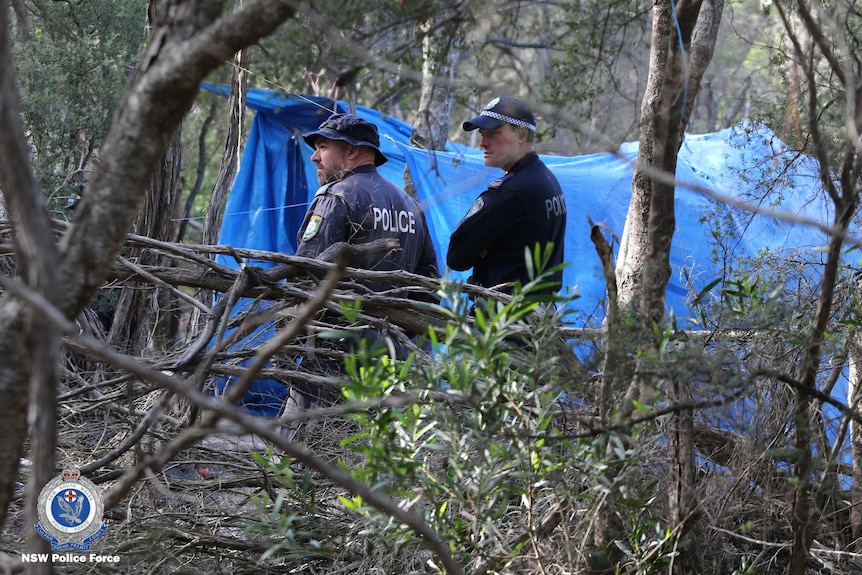 Police officers in blue overalls search bushland in Byron Bay with a makeshift tent in the background.