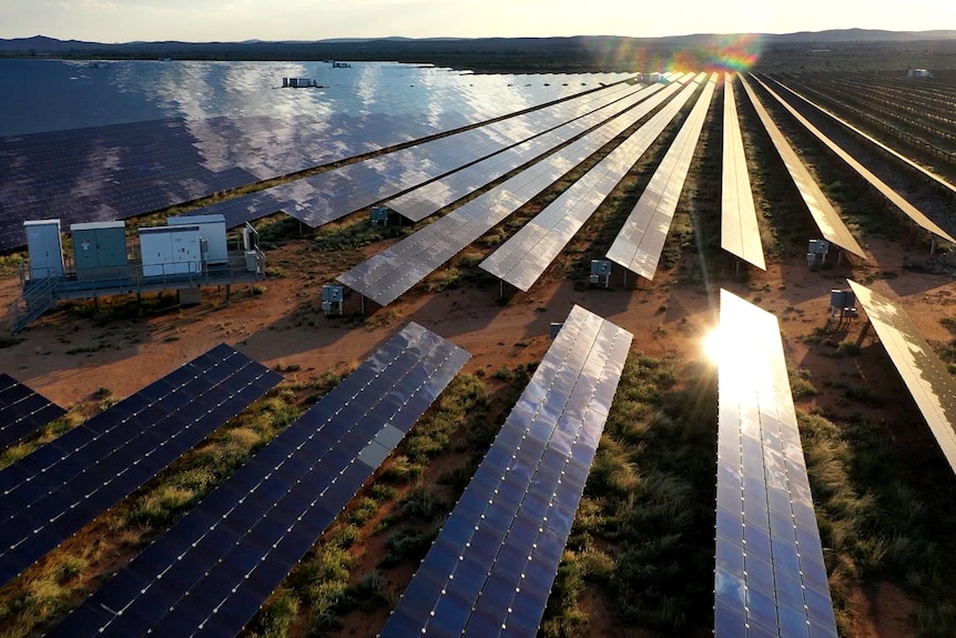 Long rows of solar panels stretch into the distance in a open landscape. The sun reflects off one of the panels.