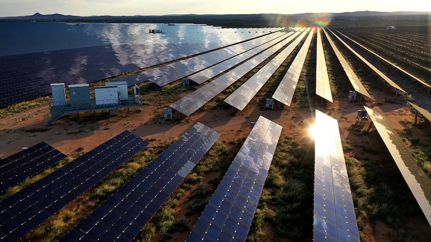 Long rows of solar panels stretch into the distance in a open landscape. The sun reflects off one of the panels.